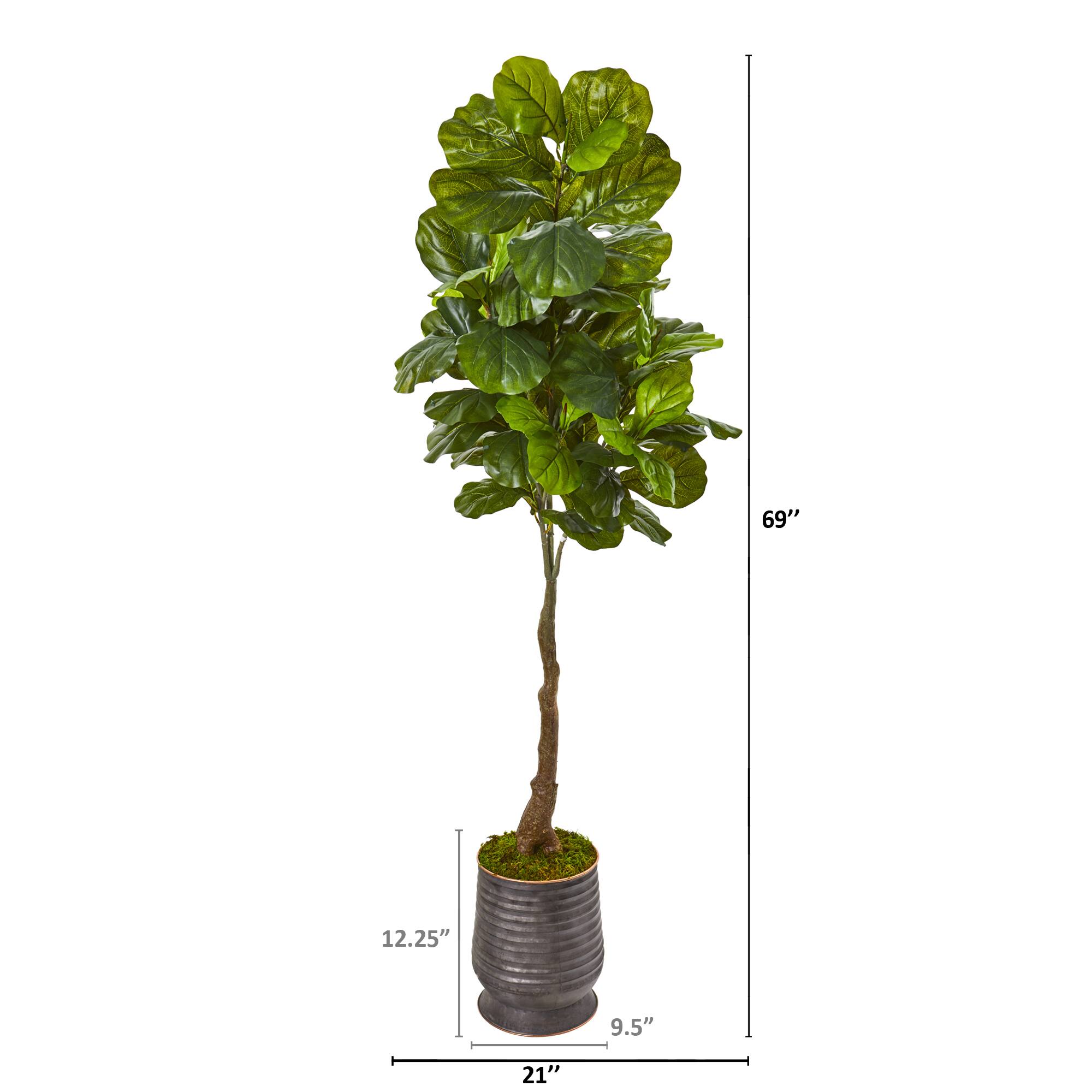 6ft. Fiddle Leaf Tree in Ribbed Metal Planter